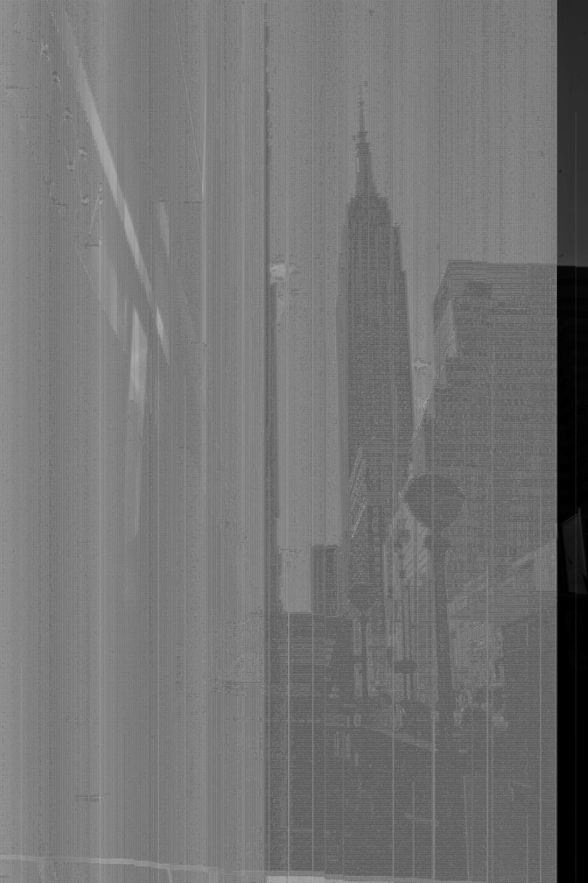 NYC 24